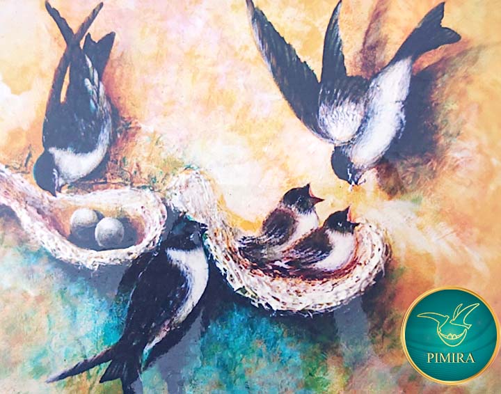 Gia đình chim yến