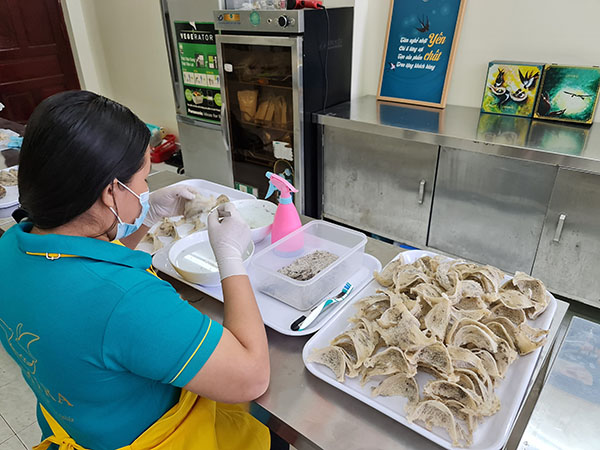 Quy trình sx yến thô